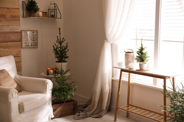 Potted fir trees in living room. Christmas interior design
