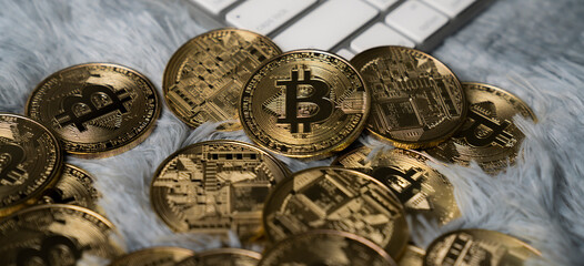 crypto currency business. golden bitcoin, conceptual image for crypto currency digital currency, bitcoin