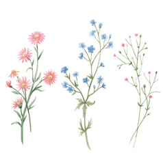 Beautiful floral set with watercolor gentle spring field flowers. Stock illustration.