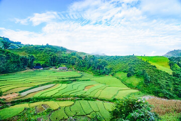 A beautiful terraced field plot in Tua Chua district, Dien Bien province, Vietnam