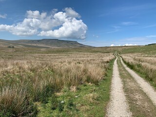 Fototapeta na wymiar track through moorland to fells
