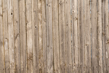 close-up of an old wooden fence where you can see the structure and direction of the boards, which have dry large bends in the foreground