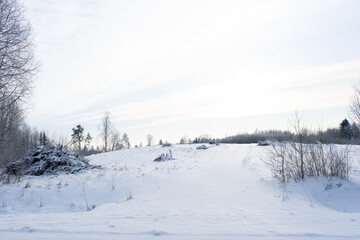 snowy Latvian landscape with forest and a few feet of snow