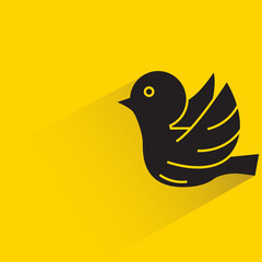 Obraz premium bird with shadow on yellow background