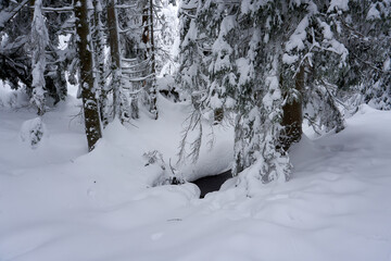 small stream in the middle of much snow