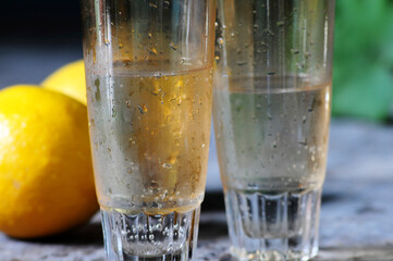 glass of champagne with lemon