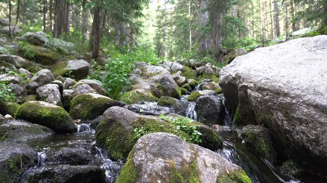 Seamless loop of a relaxing forest stream flowing over mossy rocks
