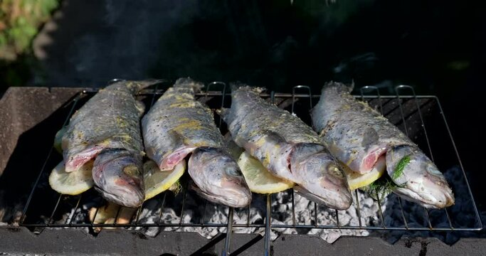 Sea bass or grouper fish grilled over charcoal. Close-up shot cooking seafish with aromatic spices on barbecue grill plate. Baking roasting marinated delicious seafood. BBQ  in summer garden outdoors 