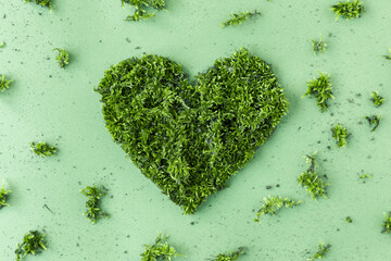 Environmental concept protection of the environment and care for nature. Heart of leaves on a white background copy space for text