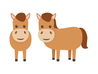 Horses flat character set. Cute farm animals. Vector cartoon illustration isolated on white