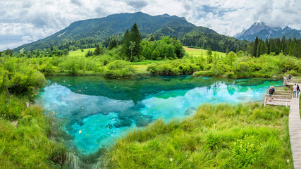 Fototapeta na wymiar The natural reserve of Zelenci, Kranjska Gora, Slovenia.