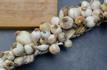 A row of garlic on a gray background. Healthy food concept, folk medicine, harvest. Copy space
