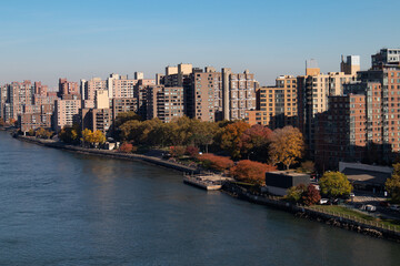 Fototapeta premium Roosevelt Island Skyline with Colorful Trees during Autumn in New York City