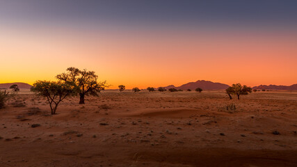 Fototapeta na wymiar Grassy steppe with Camel Thorn trees (Vachellia erioloba), near Sesriem, evening light, Naukluft Mountains at the back, Sesriem, Namibia.