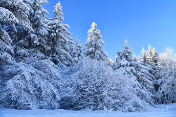 schöne Winterlandschaft in der Rhön