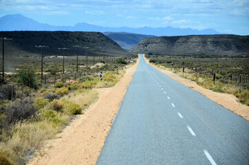 Gardentoute, S&uuml;dafrika