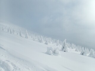 beautiful snowy winter in Krkonose mountains in czechia