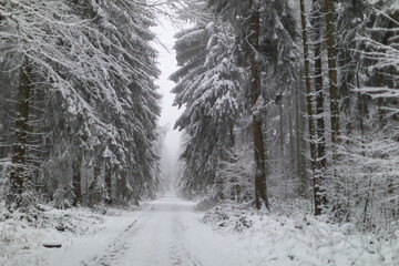 Winterlandschaft mit Neuschnee