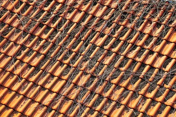 Roof covered with red tiles