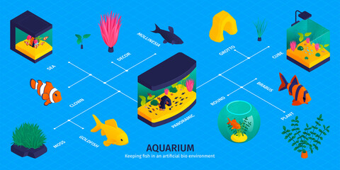 Fototapeta na wymiar Isometric Aquarium Fish Infographics