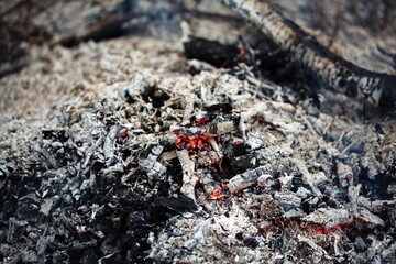 Coals and embers glowing in the remains of a bonfire. Camping in Ontario, Canada.
