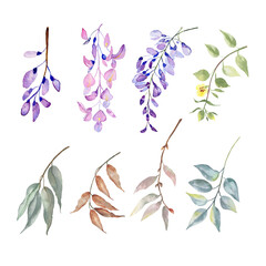 Watercolor floral bouquet.Wild, forest herb, flowers, branches. illustration isolated on white background, green leaves. Hand painted floral elements coleccion.

