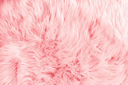 Light pink long fiber soft fur. Pink fur for background or texture. Fuzzy pink fur plaid. Shaggy blanket background. Fluffy fake textile fur. Flat lay, top view, copy space