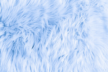 Light blue long fiber soft fur. Blue fur for background or texture. Fuzzy blue fur plaid. Shaggy...