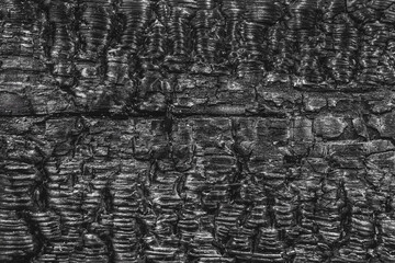 Burnt black wood texture, abstract pattern barbecue background