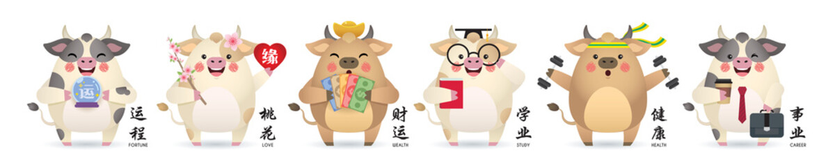 2021 Year of the Ox. Chinese horoscope or zodiac sign flat design. Set of cute cartoon cow in different pose isolated on white background. (translate: fortune, love, wealth, study, health and career)