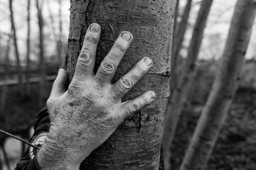 Hand