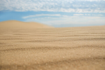 Plakat Dry sand in desert on sunny day
