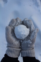 snowball © Яна Серик
