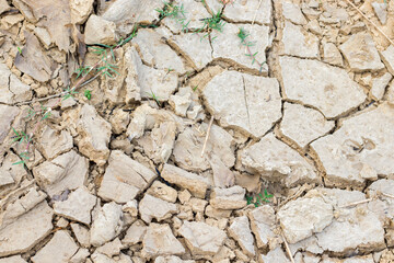 Cracked soil due to no rainfall and dry climate or drought.