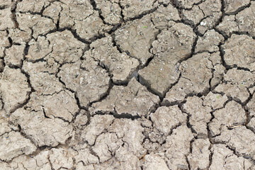 Cracked soil due to no rainfall and dry climate or drought.