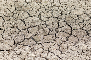 Cracked soil due to no rainfall and dry climate or drought.