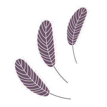  Bird's feather . Chicken or goose feather. Design for Easter, Christmas, postcards, stickers. Flat vector illustration