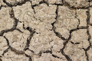 Cracked soil due to no rainfall and dry climate or drought.