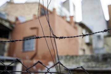 Barbed wire immigration
