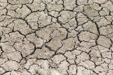 Cracked soil due to no rainfall and dry climate or drought.