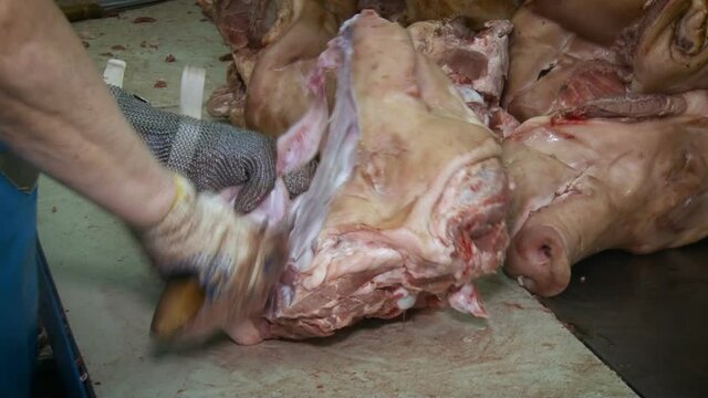 Slaughterhouse. A man cuts pieces of meat from the head of a pig