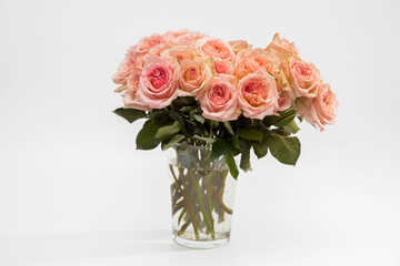 Rose White Pink O'hara. Bouquet of pink roses are in a glass vase.