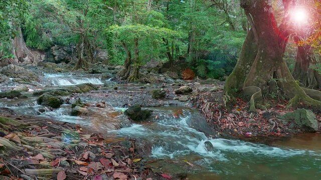 Beautiful waterfall in tropical summer rain-forest or green jungle with clean water stream n rock stone in sunlight ray n pastel pink bokeh sun light flare effect , 4k cinemagraph b-roll footage video