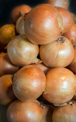 A ripe onions.
