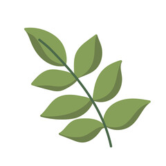 foliage branch leaves cartoon icon isolated style