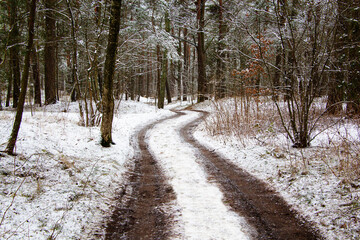 winding road in the winter forest, ecology, cleanliness.