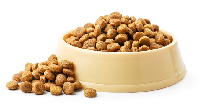 Dry dog food in a bowl on a white background. Isolated
