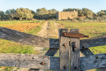 Close-up of a rustic wooden door with a rural house in the background out of focus