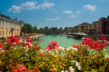 Fototapeta na wymiar Paisaje floral en el lago di Garda
