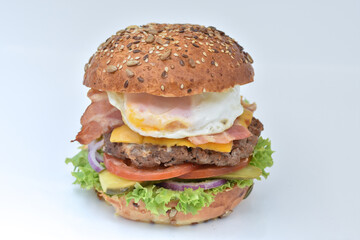 Fresh tasty burger with onions and tomatoes 